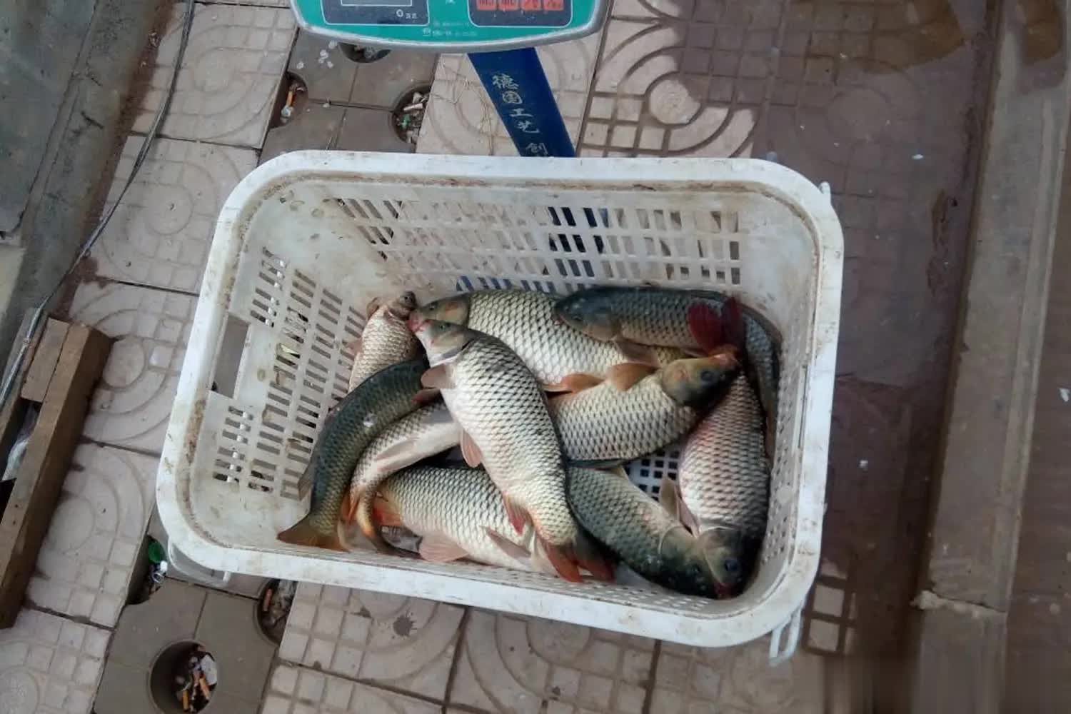 料打下去, 想要抽到好, cn